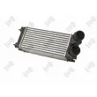 ABAKUS 009-018-0019 - Intercooler, échangeur
