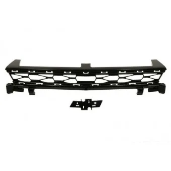 Grille de radiateur BLIC 6502-07-1196990P