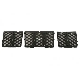 Grille de radiateur BLIC 6502-07-3206992BP