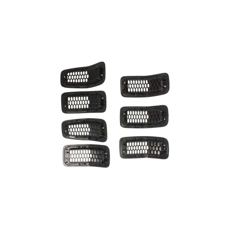 Grille de radiateur BLIC 6502-07-3206995P - Visuel 1