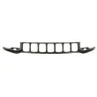 Grille de radiateur BLIC [6502-07-3207901P]