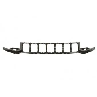 Grille de radiateur BLIC 6502-07-3207901P