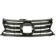 BLIC 6502-07-8173990P - Grille de radiateur