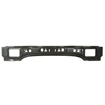 Panneau arrière BLIC 6503-05-5509650P