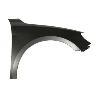 BLIC 6504-04-0047312P - Aile avant droit 