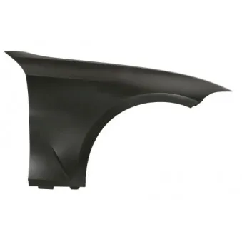 Aile avant droit BLIC 6504-04-0064312AP