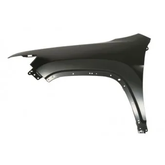 Aile avant gauche BLIC 6504-04-3208311P