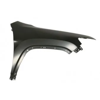 Aile avant droit BLIC 6504-04-3208312P