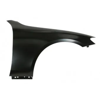 Aile avant droit BLIC 6504-04-3531318AP