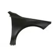 Aile avant droit BLIC [6504-04-3570312AP]