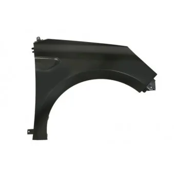 Aile avant droit BLIC 6504-04-6001312P