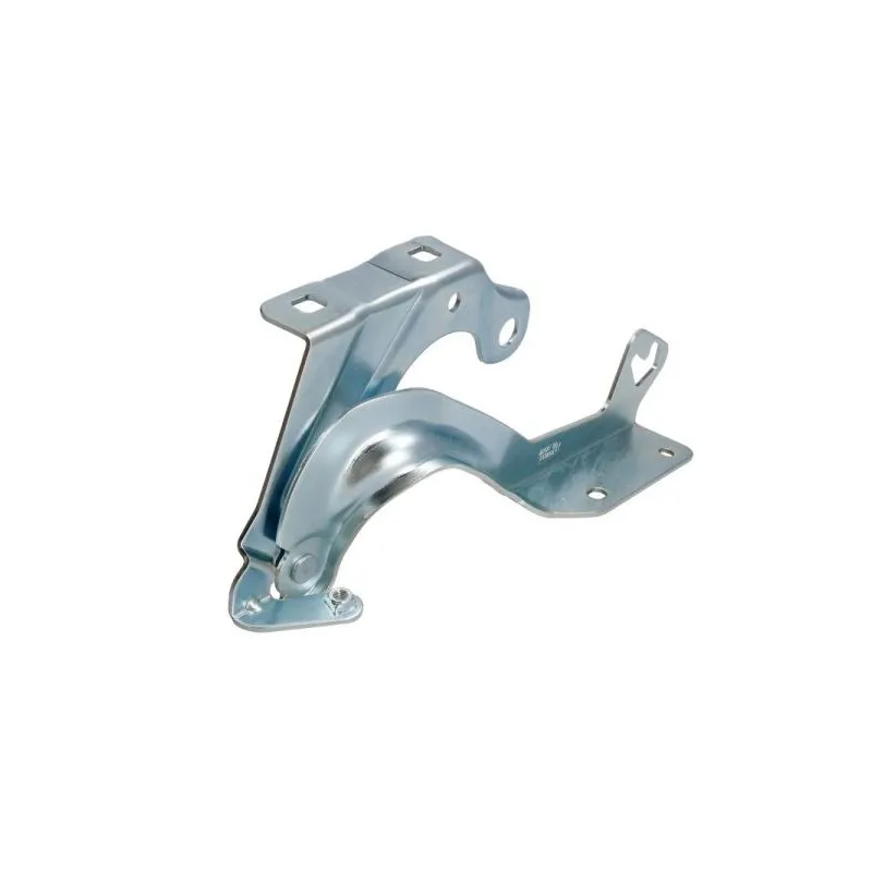 Charnière, capot-moteur BLIC 6802-00-1609452P - Visuel 1