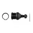 TEKNÖR ZSD-NS-028 - Rotule de suspension avant droit