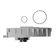 TEKNÖR CPW-FT-084 - Pompe à eau