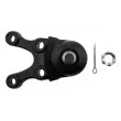 TEKNÖR ZSD-MS-010 - Rotule de suspension avant gauche 