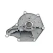 TEKNÖR CPW-AU-039 - Pompe à eau