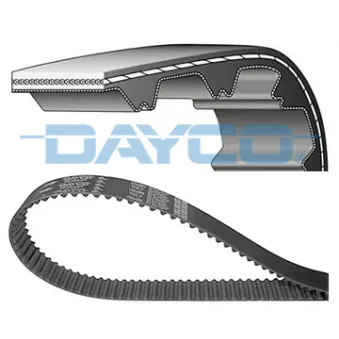 Courroie crantée DAYCO OEM 1356869035