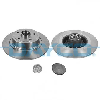 Jeu de 2 disques de frein arrière DAYCO OEM 8200266043D