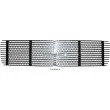 JP GROUP 1684550406 - Grille de radiateur