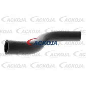 ACKOJA A26-1600 - Durite de radiateur
