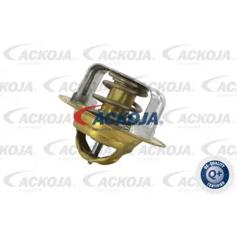 Thermostat d'eau ACKOJA A32-99-1704