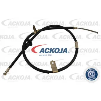 Tirette à câble, frein de stationnement arrière droit ACKOJA A52-30008