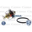 ACKOJA A52-99-0015 - Thermostat d'eau