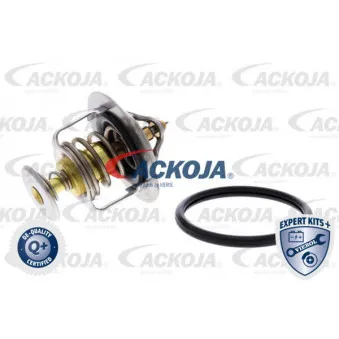 ACKOJA A52-99-0015 - Thermostat d'eau