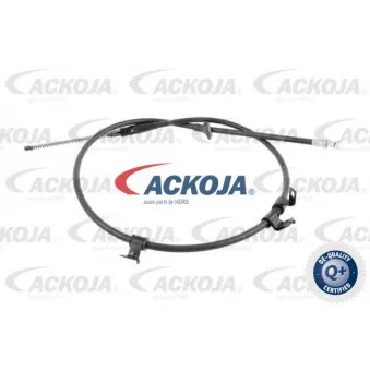 Tirette à câble, frein de stationnement arrière droit ACKOJA A53-30001