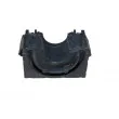 AUTOMEGA 110173310 - Suspension, stabilisateur