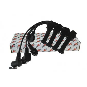 Kit de câbles d'allumage AUTOMEGA 150002010