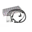 Kit de câbles d'allumage AUTOMEGA [150103310]
