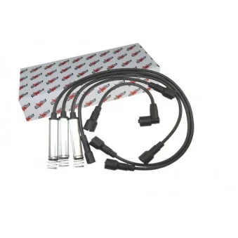 Kit de câbles d'allumage AUTOMEGA 150103310