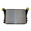 AUTOMEGA 160060310 - Intercooler, échangeur