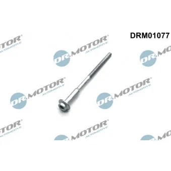 Vis, support pour controleur d'injecteurs Dr.Motor DRM01077
