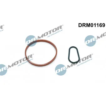 Dr.Motor DRM01169 - Jeu de joints, pompe à vide
