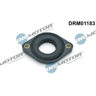 Joint, réglage d'arbre à cames Dr.Motor OEM 11141435023