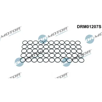Dr.Motor DRM01207S - Bague d'étanchéité, porte-injecteur