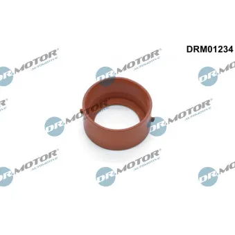 Dr.Motor DRM01234 - Bague d'étanchéité, gaine de suralimentation