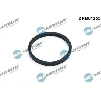 Joint, radiateur d'huile Dr.Motor DRM01255 pour MERCEDES-BENZ AXOR 2 2.5 TDI - 150cv