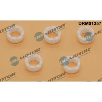 Dr.Motor DRM01257 - Douille, levier de vitesse