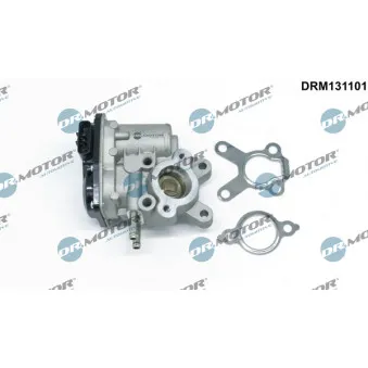 Dr.Motor DRM131101 - Vanne EGR