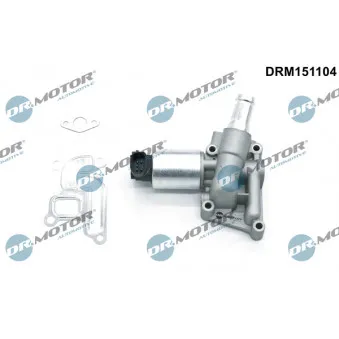 Dr.Motor DRM151104 - Vanne EGR