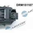 Dr.Motor DRM151107 - Vanne EGR