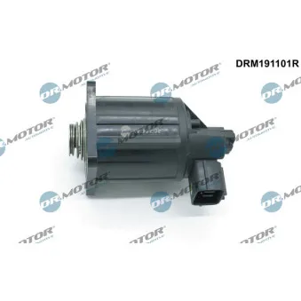 Dr.Motor DRM191101R - Vanne EGR