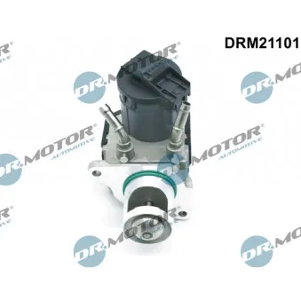 Vanne EGR Dr.Motor DRM21101