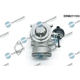 Dr.Motor DRM211103 - Vanne EGR
