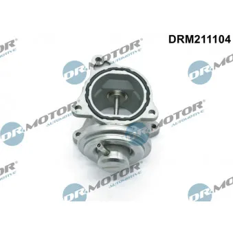 Dr.Motor DRM211104 - Vanne EGR