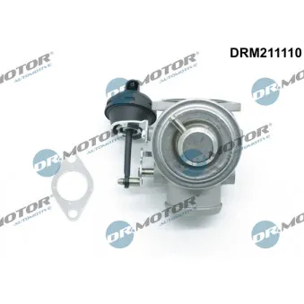 Dr.Motor DRM211110 - Vanne EGR