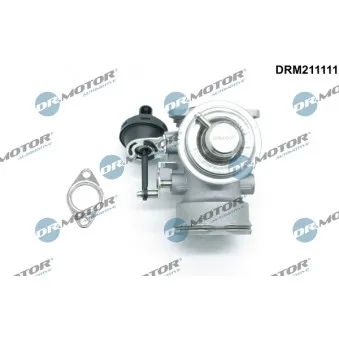 Dr.Motor DRM211111 - Vanne EGR